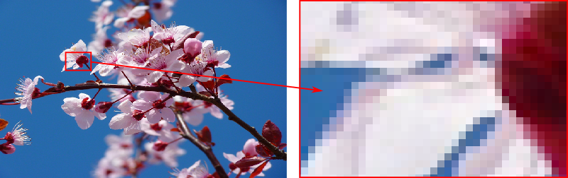 The important thing about pixels is that each one represents a square of the - photo 2