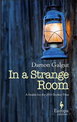 Damon Galgut - In a Strange Room