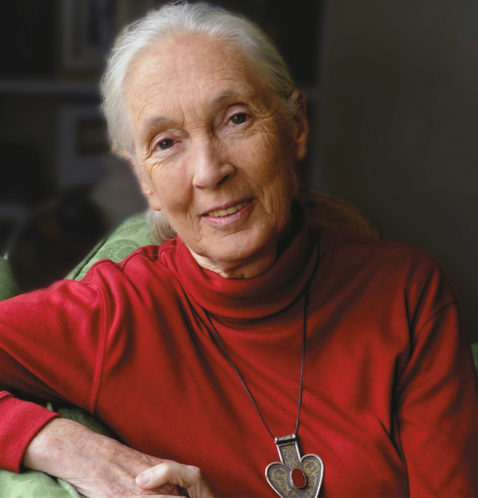 Foreword Jane Goodall When I was studying chimpanzees I learned about the - photo 4