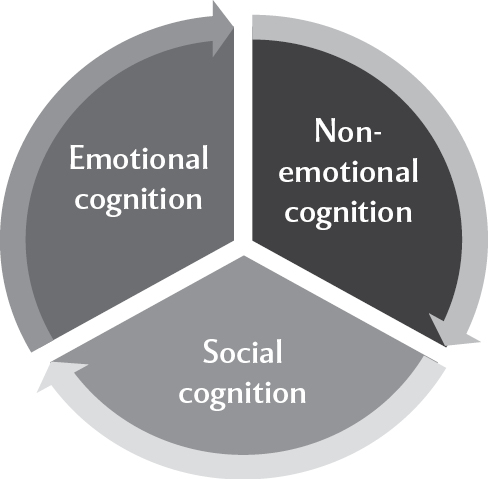 Figure 11 Domains of emotional nonemotional and social cognitive function - photo 3