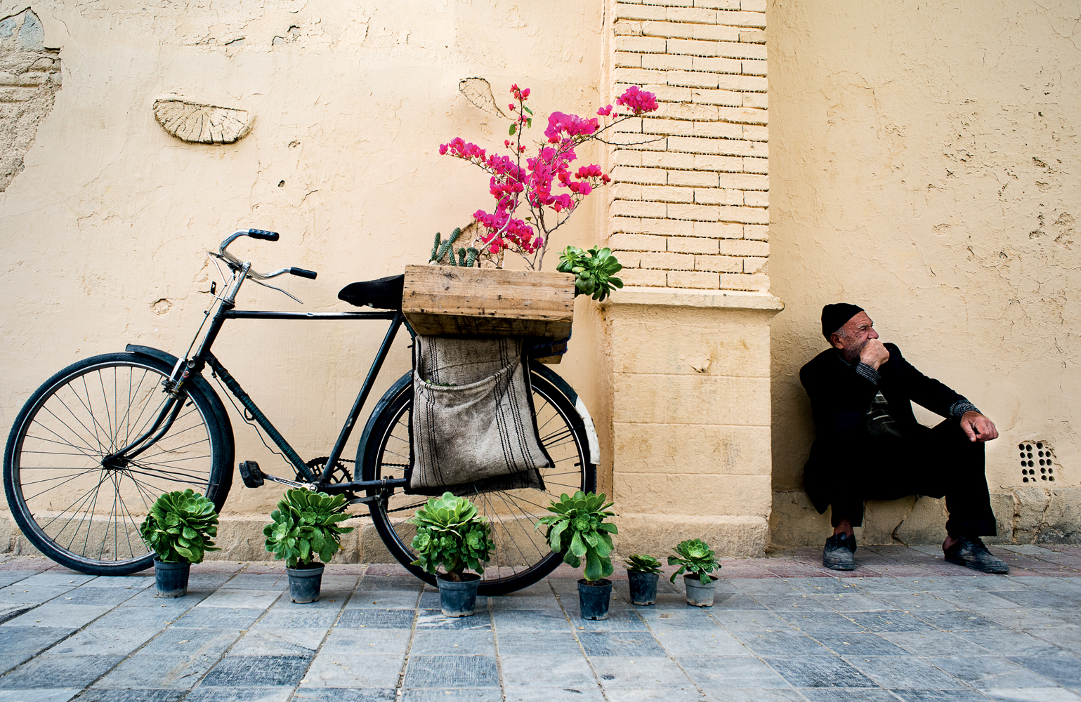 Flower Man Isfahan Iran April 2017 I would like to dedicate this book to my - photo 4