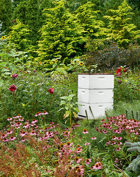 Many people are drawn to gardening because they want to connect with nature - photo 7