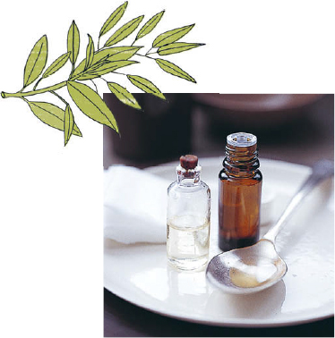 Introduction Aromatherapy is the use of essential oils for healing and - photo 8