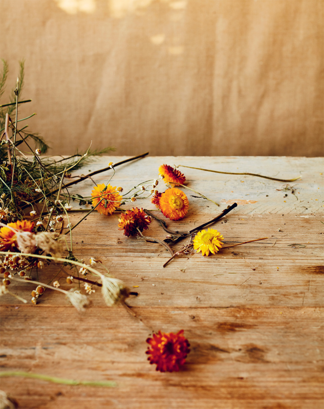 I believe something magical happens to flowers when theyre dried Their - photo 15