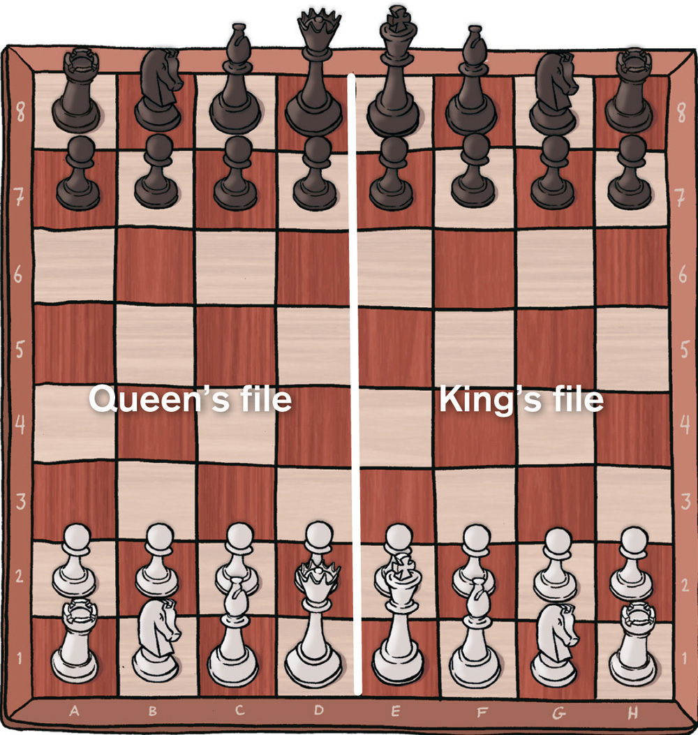 The chessboard is divided into the kings file and queens file At the start of - photo 9