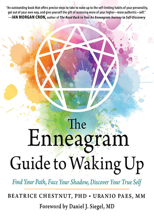 Praise for The Enneagram Guide to Waking Up An outstanding book that offers - photo 1