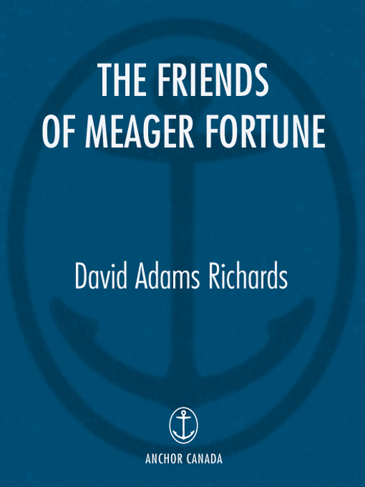 ACCLAIM FOR DAVID ADAMS RICHARDS THE FRIENDS OF MEAGER FORTUNE Winner of the - photo 1