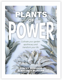 Stacey Demarco - Plants of Power: Cultivate Your Garden Apothecary and Transform Your Life