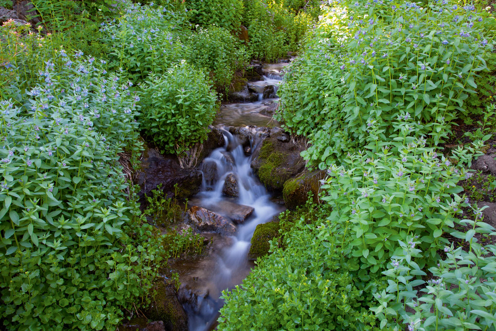 May your trails be crooked winding lonesome dangerousleading to the most - photo 10