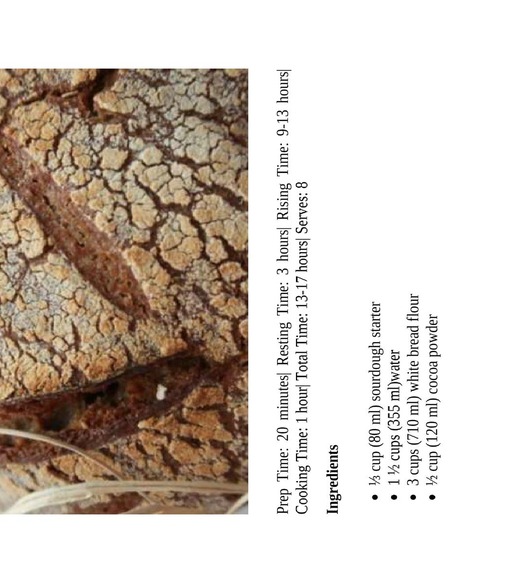 Sourdough Bread Recipes How To Make Your Own Homemade Delicious And Nutritious Sourdough Bread New Edition Sourdough Bread Recipes - photo 4