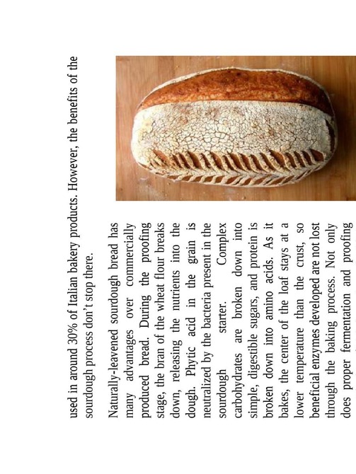 Sourdough Bread Recipes How To Make Your Own Homemade Delicious And Nutritious Sourdough Bread New Edition Sourdough Bread Recipes - photo 29