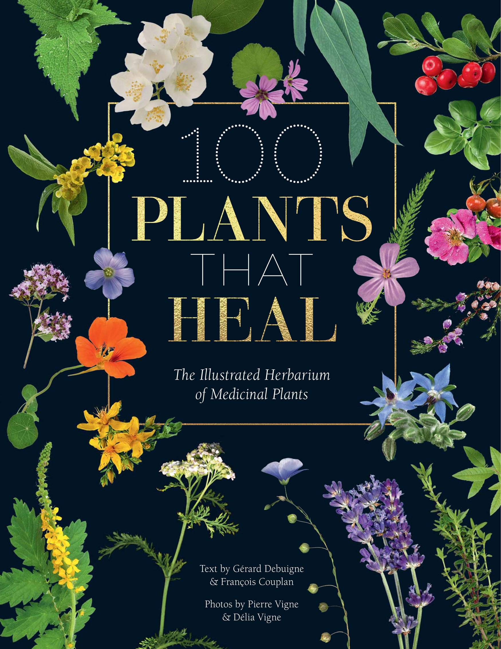 PLANTS THAT HEAL The Illustrated Herbarium of Medicinal Plants Text by - photo 1