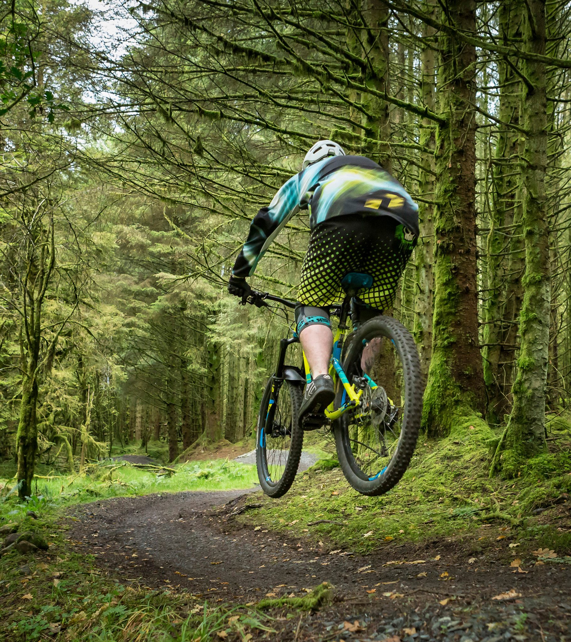 Mountain biking through emerald forest in Northern Ireland g Walking - photo 5