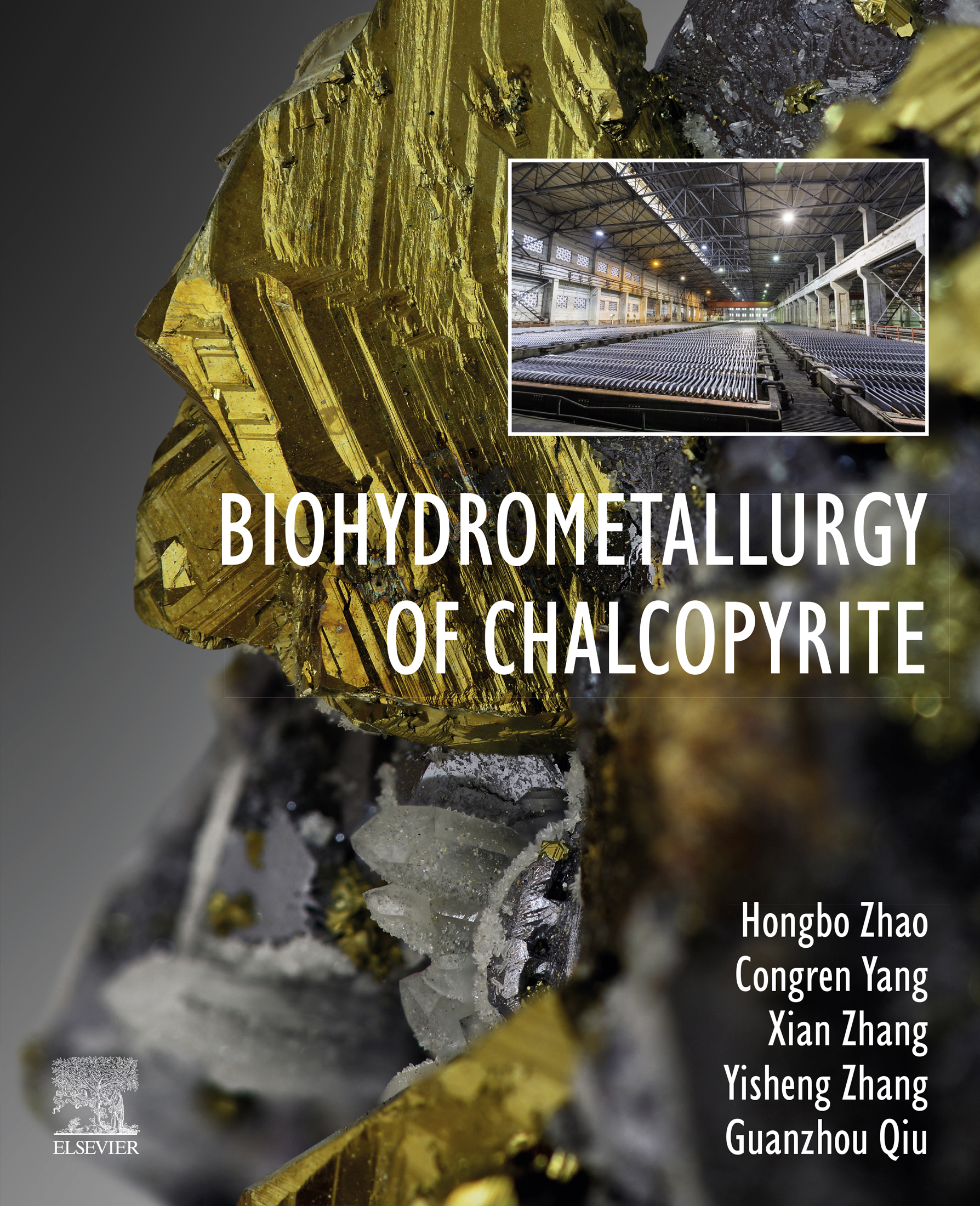 Biohydrometallurgy of Chalcopyrite Hongbo Zhao Central South University - photo 1