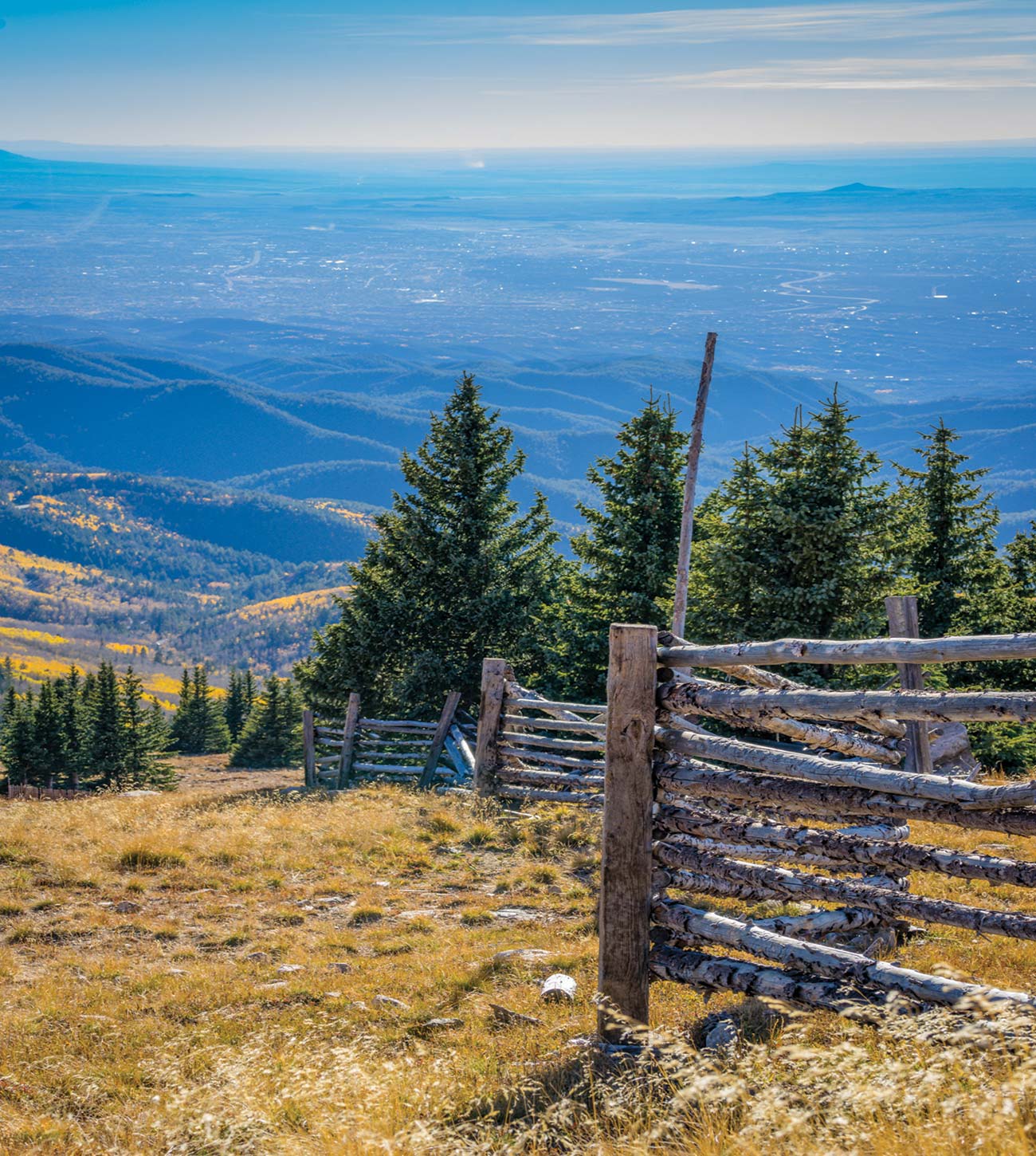 a view from the Aspen Vista trail in Santa Fe Cumbres Toltec Scenic Railroad - photo 5