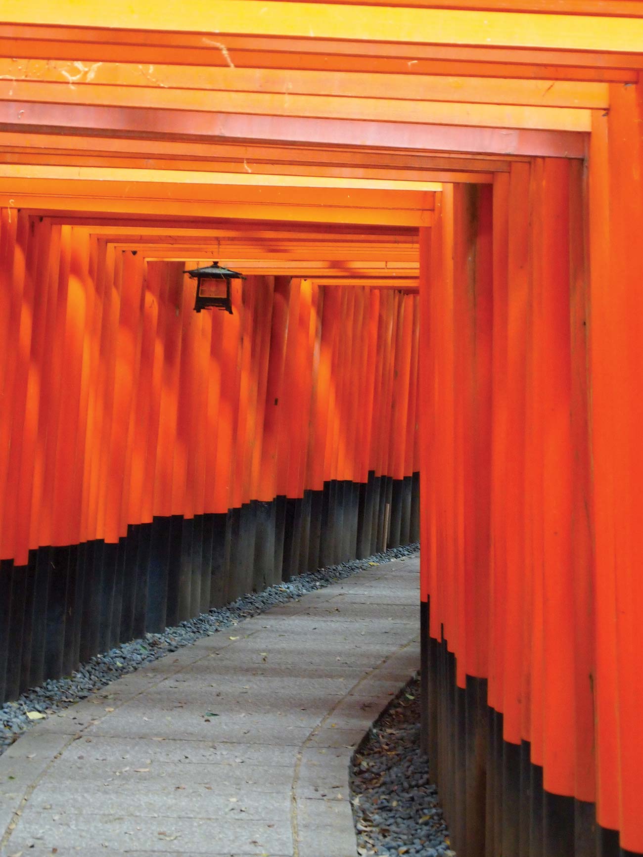 vermillion torii of Fushimi Inari-Taisha Tokyo - photo 13