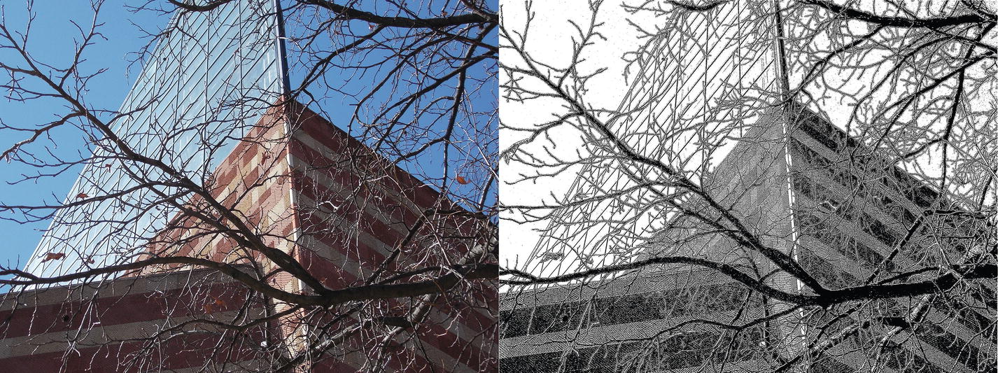 Figure 4 A before and after comparison showing the original photo and the image - photo 6