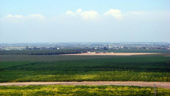 San Joaquin Valley California Brand moved here at an early age In his youth - photo 15