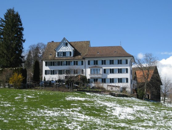 The birthplace of Spyri Hirzel Switzerland Spyri aged 22 Heidi Marian - photo 15