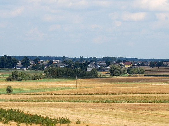 Wola Okrzejska a village in the administrative district of Gmina Krzywda - photo 20