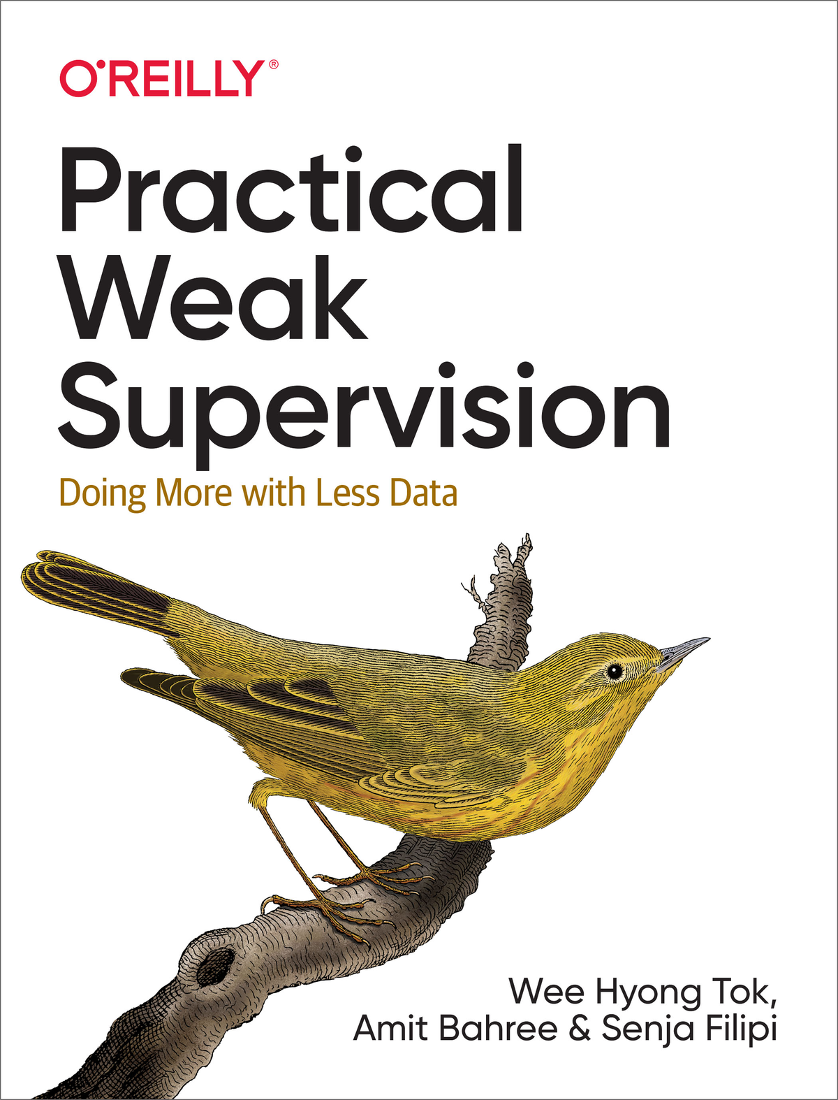 Practical Weak Supervision by Wee Hyong Tok Amit Bahree and Senja Filipi - photo 1