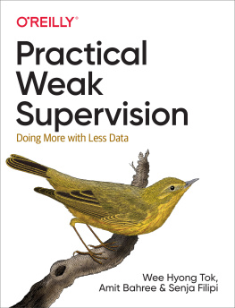 Wee Hyong Tok Practical Weak Supervision: Doing More with Less Data