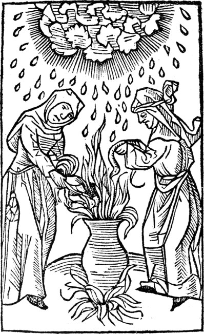 Illustration 2 This early woodcut comes from an edition of Ulrich Mller or - photo 2