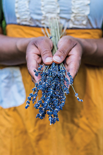 Lavender bouquet Remember your health is in your hands You are what you put - photo 9