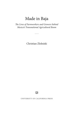 Christian Zlolniski Made in Baja: The Lives of Farmworkers and Growers behind Mexico’s Transnational Agricultural Boom