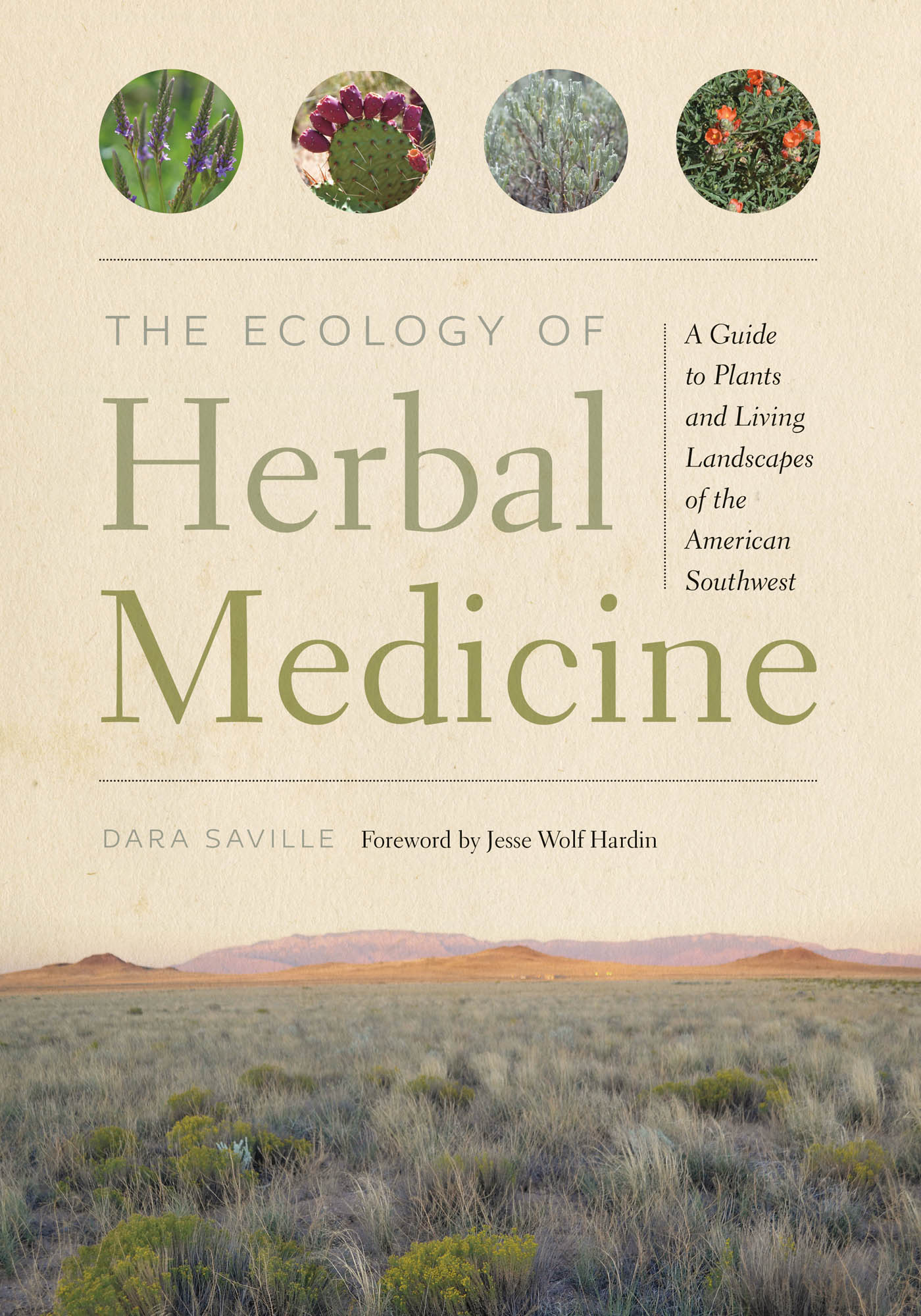 THE ECOLOGY OF HERBAL MEDICINE THE ECOLOGY OF Herbal Medicine A Guide - photo 1