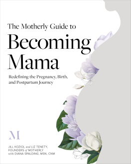 Diana Spalding - The Motherly Guide to Becoming Mama: Redefining the Pregnancy, Childbirth, and Postpartum Journey