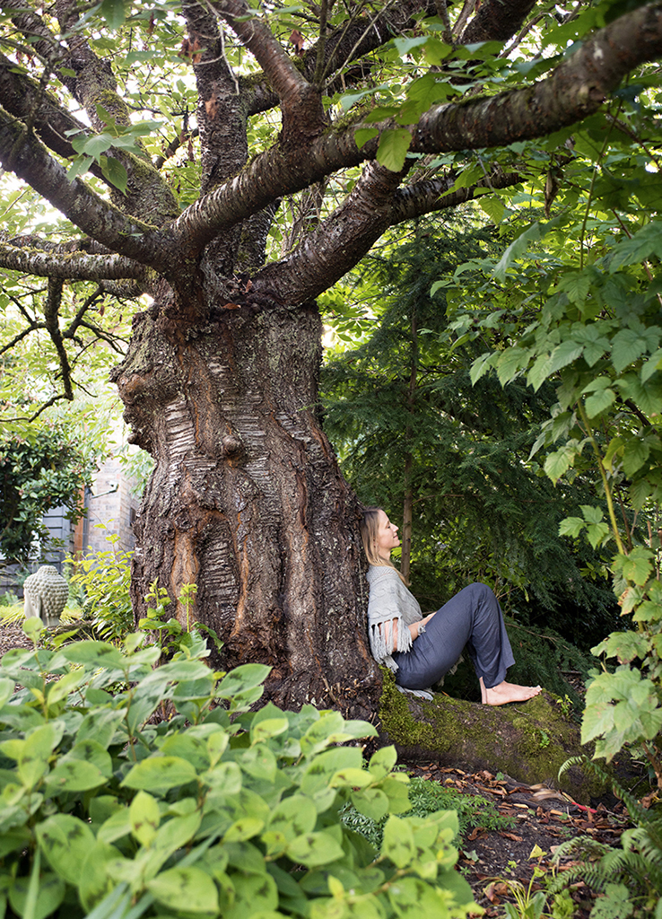 I find sanctuary sitting with Wanda the elder cherry tree in my front yard - photo 4