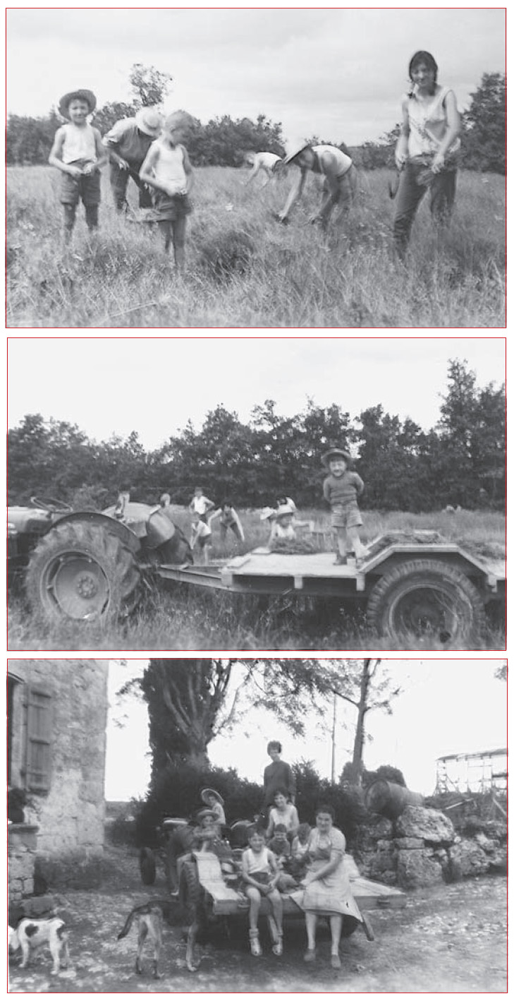 Marcel Lavabre as a child and family harvesting lavender on the family farm - photo 9