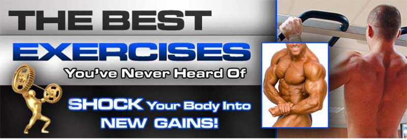 The Best Exercises Youve Never Heard Of By Nick Nilsson Introduction In - photo 2