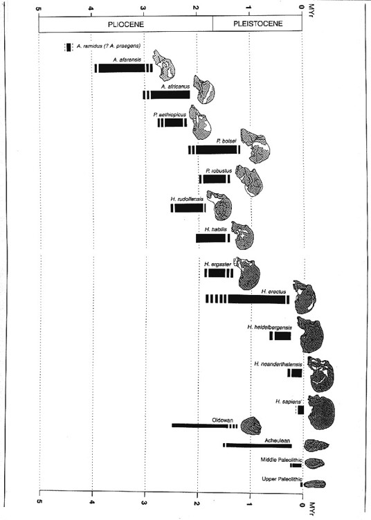 Page ii Page v The Fossil Trail How We Know What We Think We Know about - photo 1