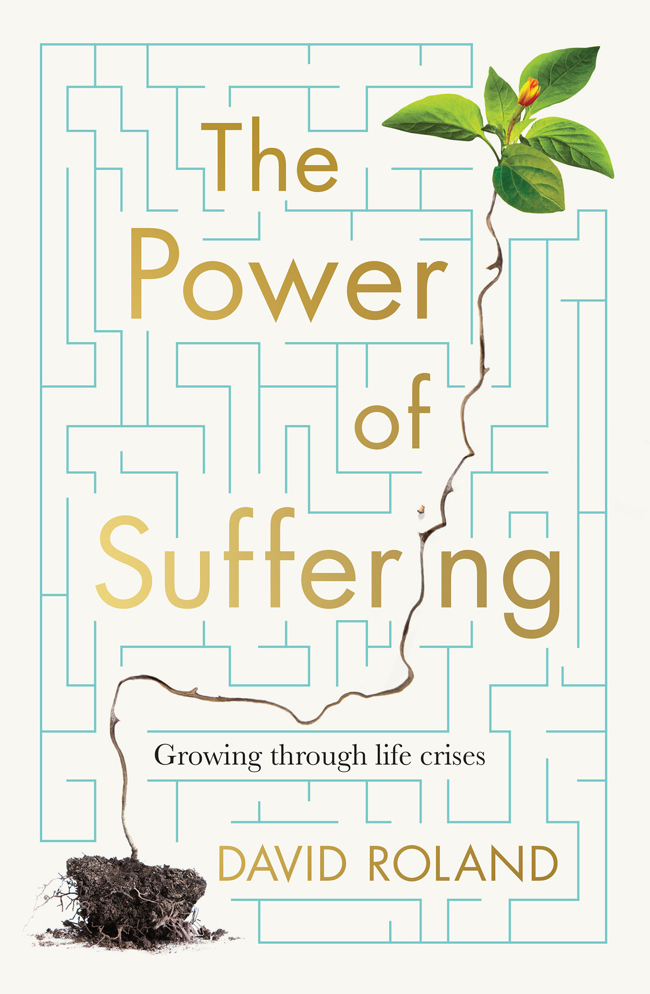 THE POWER OF SUFFERING Growing Through Life Crises First published in - photo 1