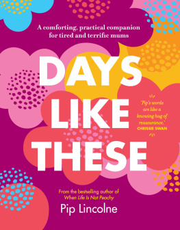 Pip Lincolne - Days like these a comforting, practical companion for tired and terrific mums