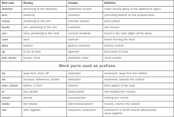 SYSTEMS OF THE BODY The human body can be viewed as an integration of - photo 3