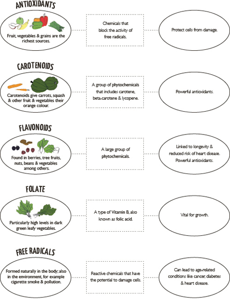 A basic knowledge of the common nutritional terms listed below will make it - photo 6