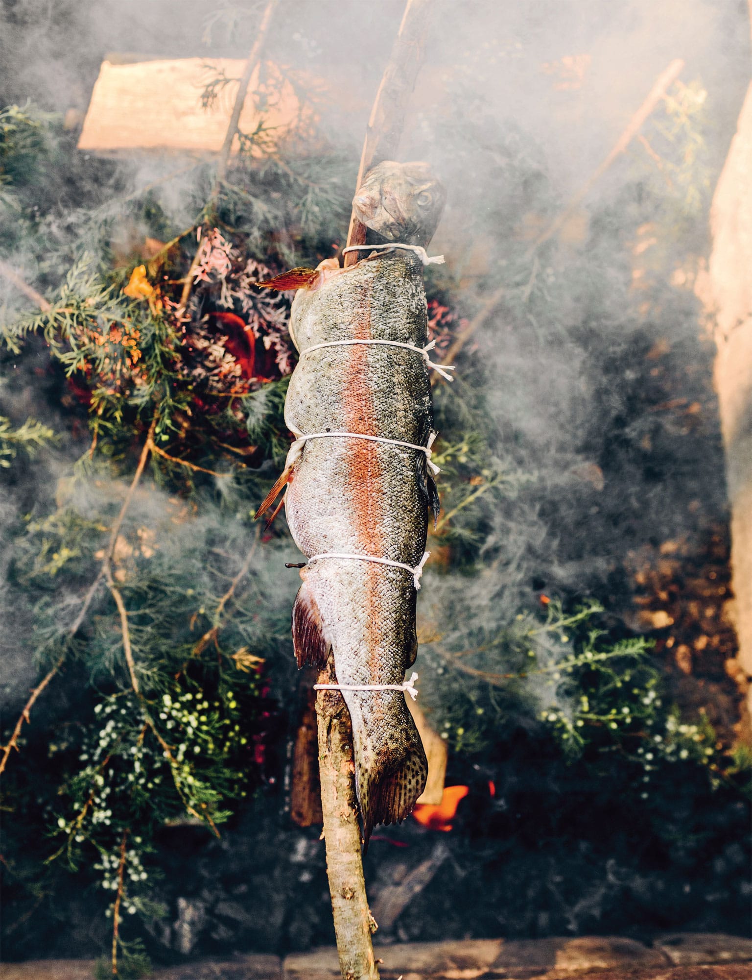 INTRODUCTION In this book I cover multiple species of fish ranging everywhere - photo 4