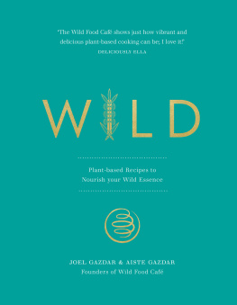 Joel Gazdar Wild: Plant-based Recipes to Nourish your Wild Essence