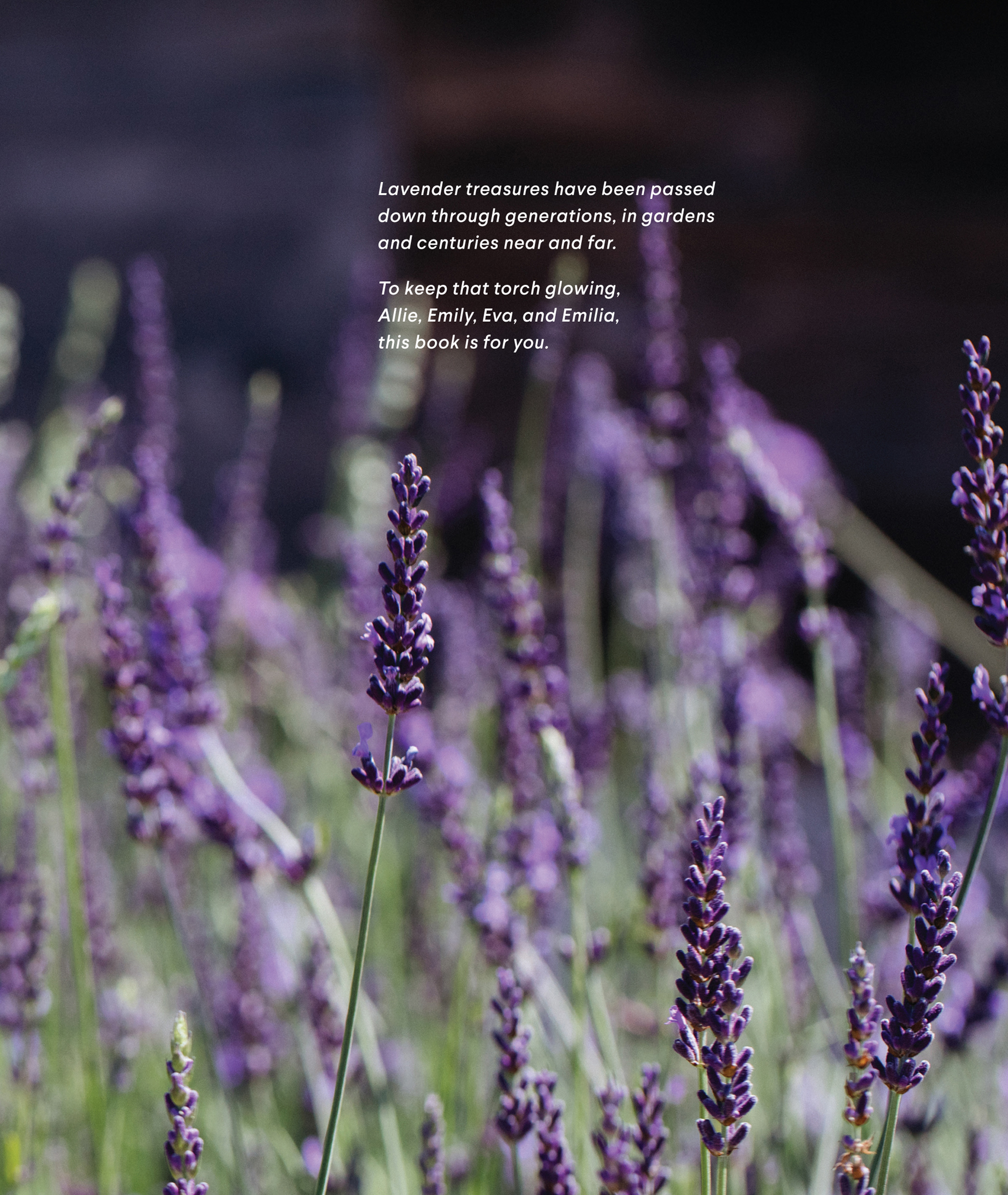 Contents Introduction Lavender has wafted its way around the world and - photo 5