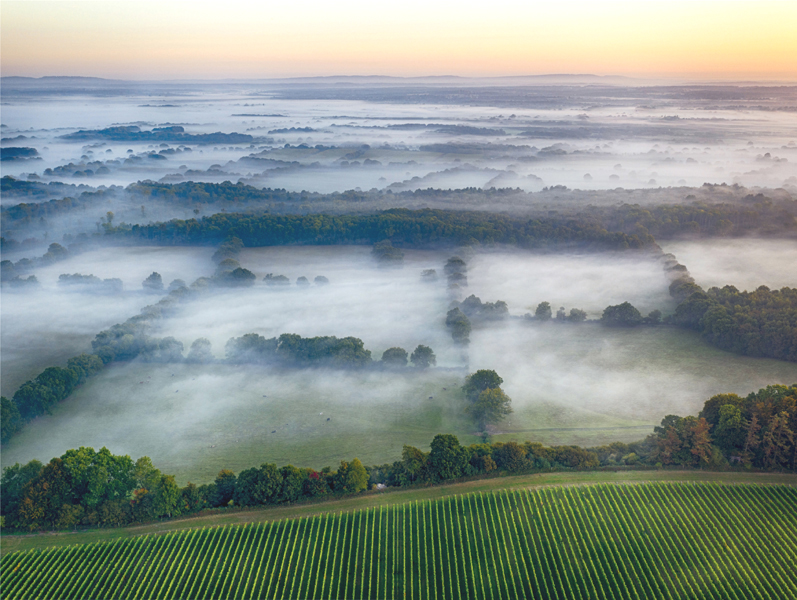 The South Downs in the distance the morning mist in the valley and Nyetimbers - photo 2