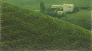 CONTENTS M y region is Tuscany I was born in Tuscany and my family is - photo 5