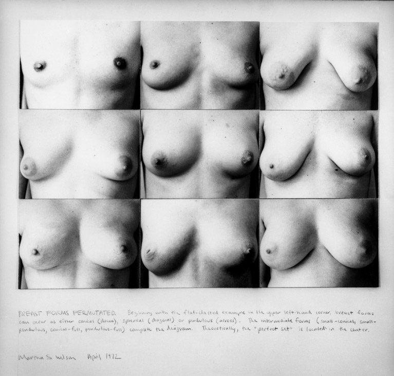 Martha Wilson Breast Forms Permutated 1972 Photograph by Martha Wilson I - photo 1