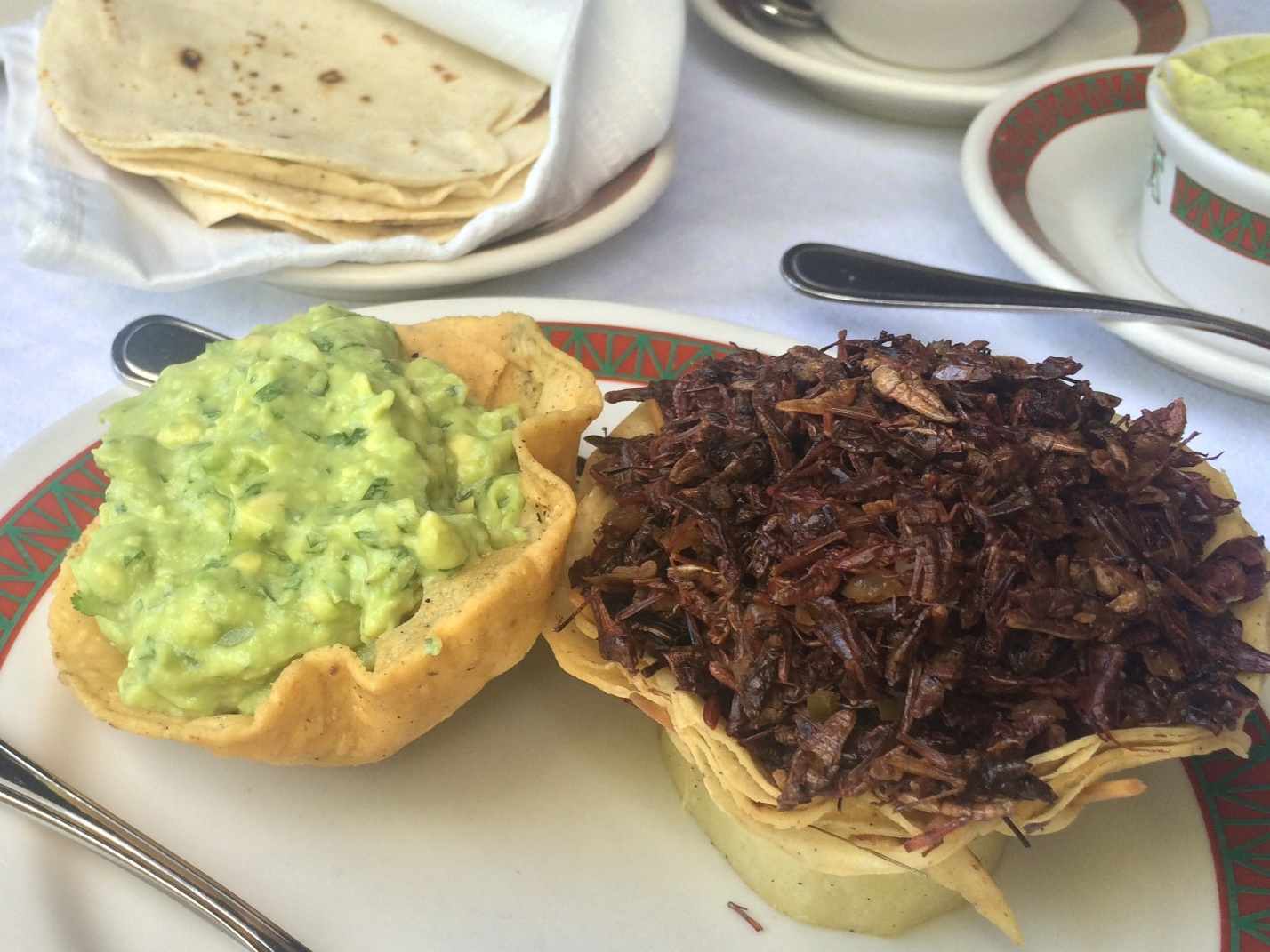 Figure 2 - Our first insects Chapulines grasshoppers fried with chili and - photo 2