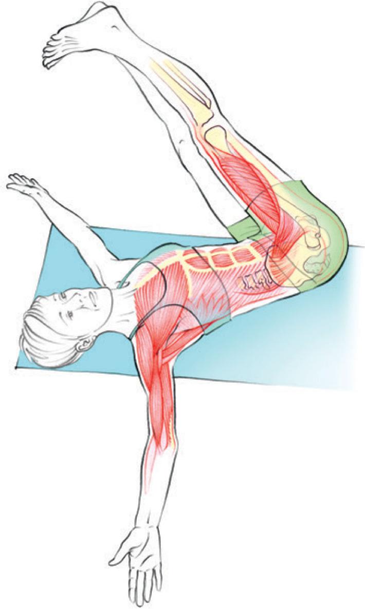 HOW TO USE THIS BOOK Anatomy of Yoga for Posture and Health is a visual and - photo 5