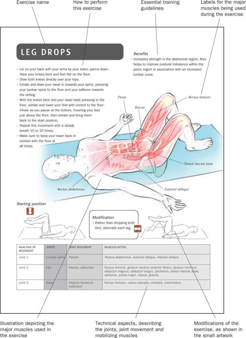 PART OVERVIEW OF ANATOMY ANATOMICAL DEFINITIONS AND TERMINOLOGY Anatomy - photo 6