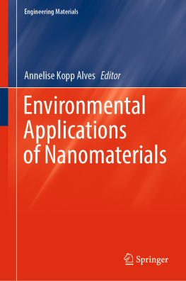 Onoyivwe Monday Ama - Modified Nanomaterials for Environmental Applications: Electrochemical Synthesis, Characterization, and Properties