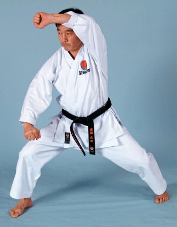 The opening movement from the Japanese Karate Association Shotokan kata sochin - photo 9